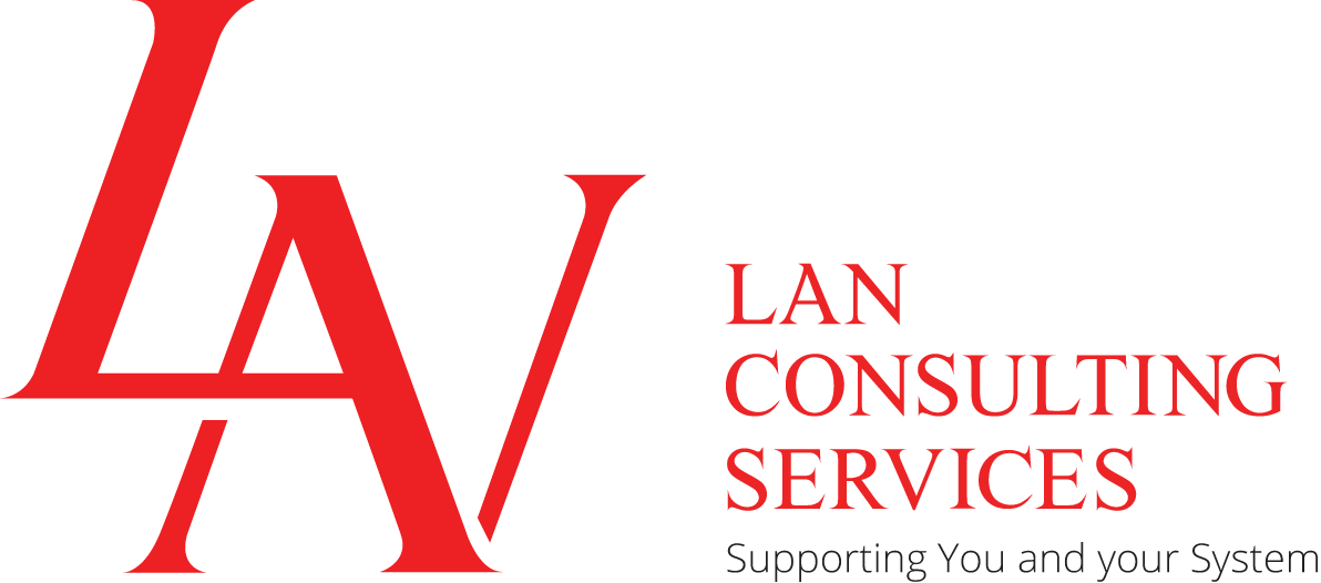 LAN Consulting Services